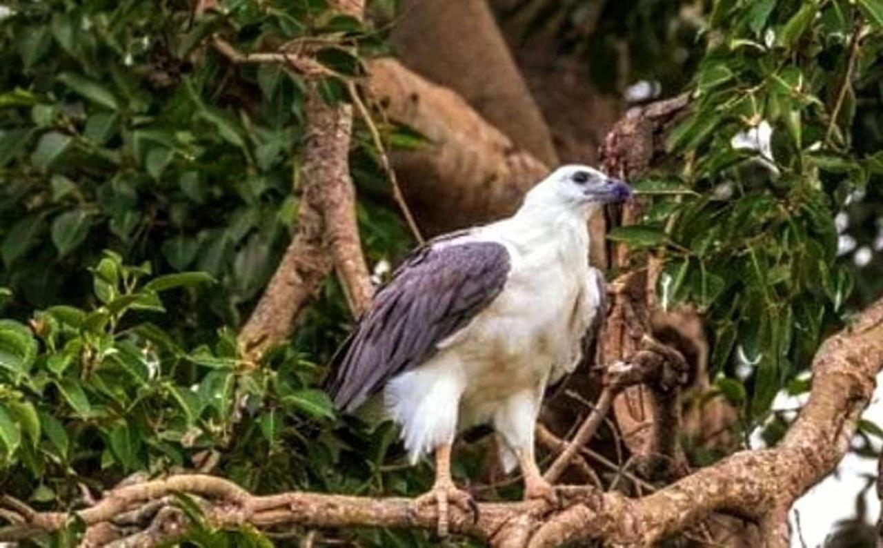 All View Safari Resort ウダワラウェ エクステリア 写真